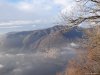 Brunate