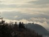 Brunate