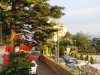 Brunate