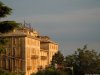 Brunate