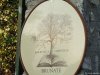 Brunate