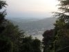 Brunate
