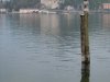 Lago Maggiore - Angera