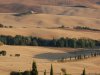 Pienza