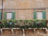 Verona