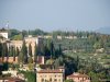 Verona